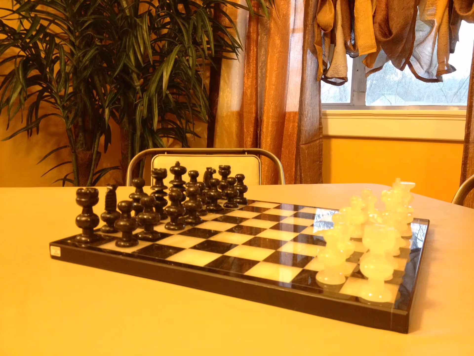 A chessboard set up for a game with black and white pieces on a table in a room with yellow walls, a window with brown curtains, a metal chair, and a large green plant in the background.