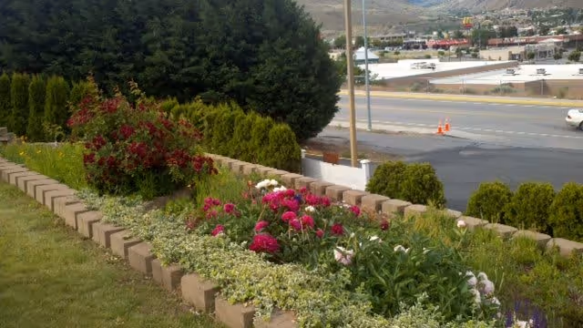 A landscaped garden bed with various flowering plants and shrubs bordered by a low brick wall, adjacent to a road with some traffic cones and buildings in the background under a partly cloudy sky.