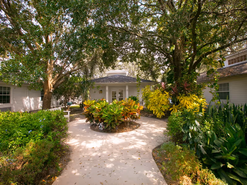 A paved walkway leading to a white building entrance surrounded by lush green and yellow foliage and large trees providing shade.