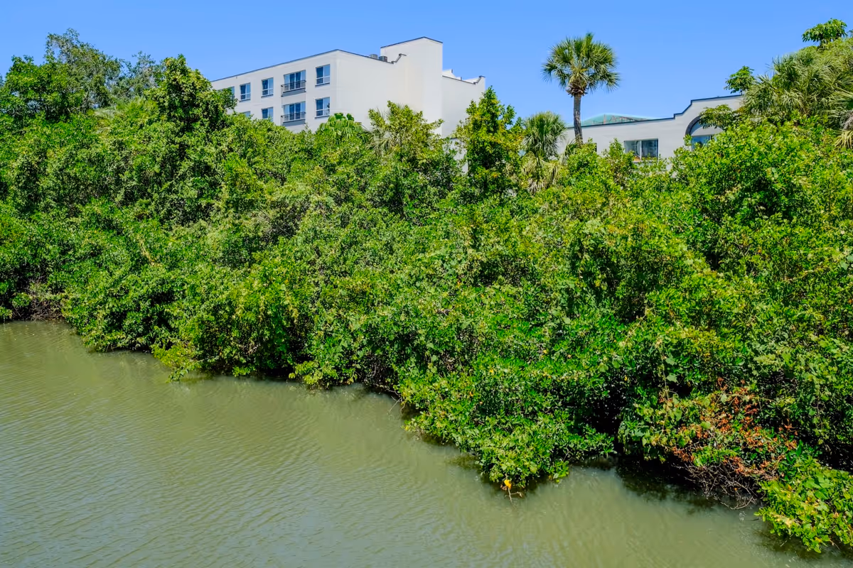 View of a water body with dense green foliage along the shore and a multi-story white building partially visible behind the trees under a clear blue sky.