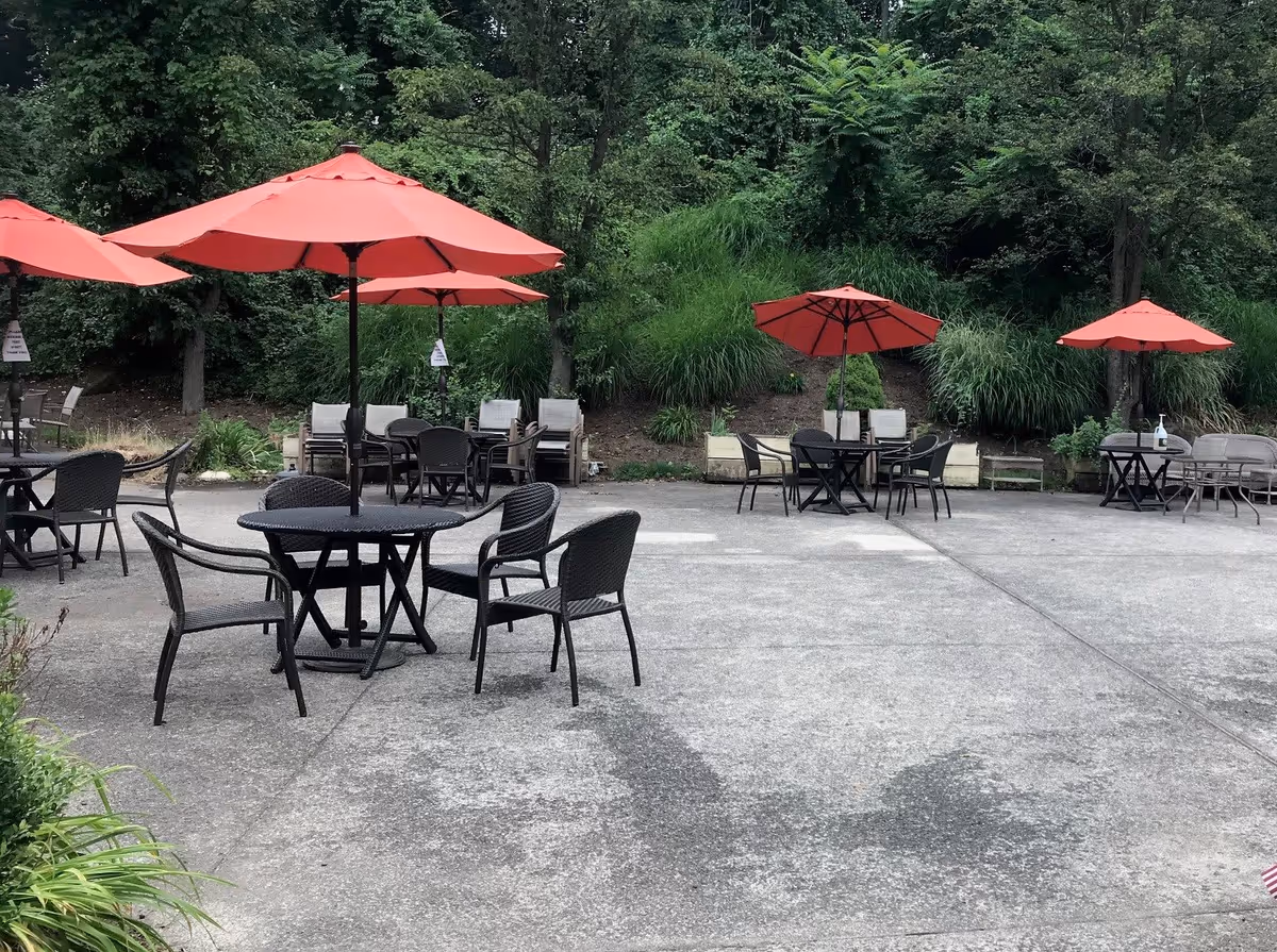 Outdoor patio area with multiple black metal tables and chairs, each table shaded by a red umbrella. The patio is surrounded by green bushes and trees.