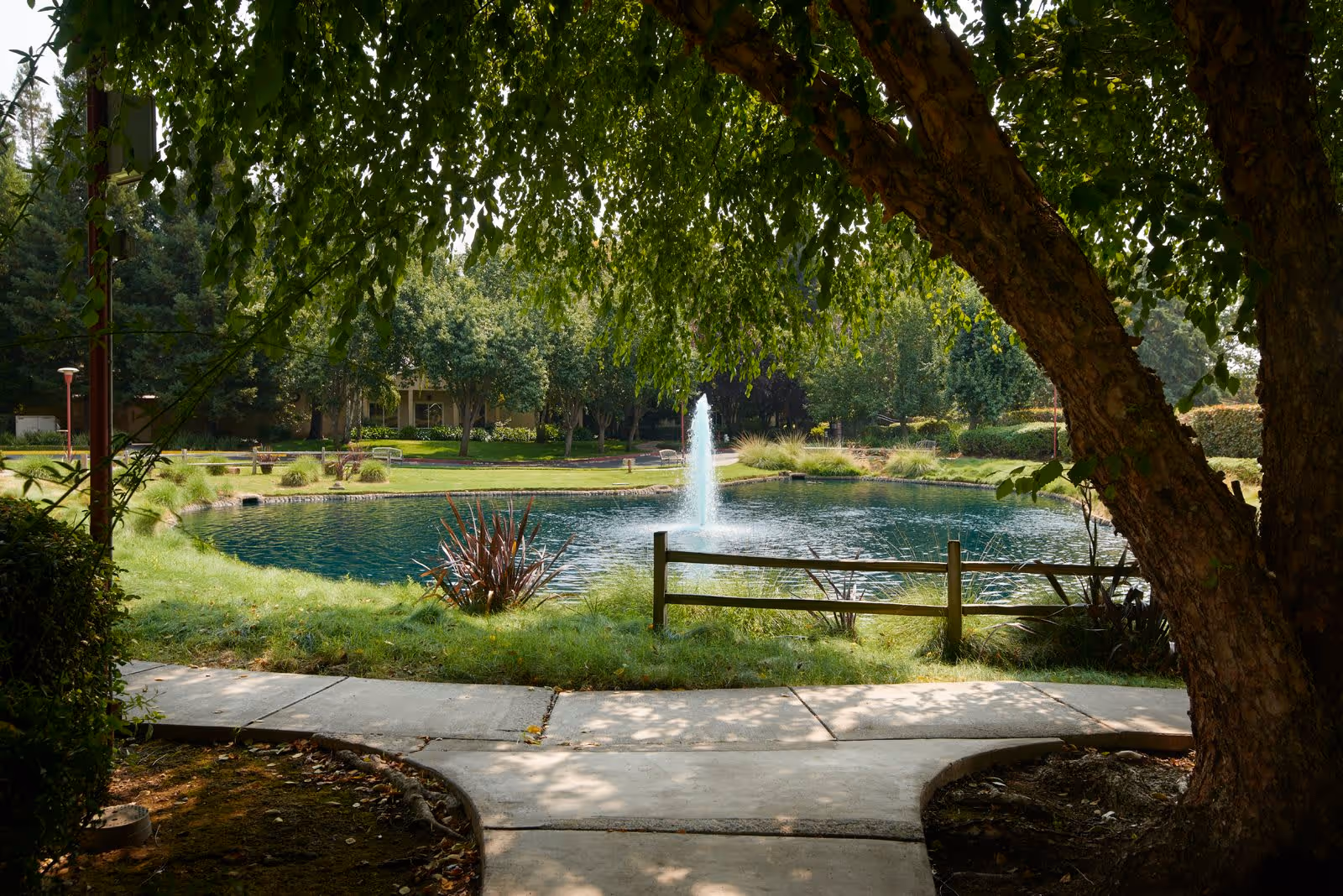 A peaceful outdoor scene at River's Edge featuring a small pond with a central water fountain, surrounded by green grass, trees, and a wooden fence. A concrete pathway curves in the foreground under the shade of a large tree.