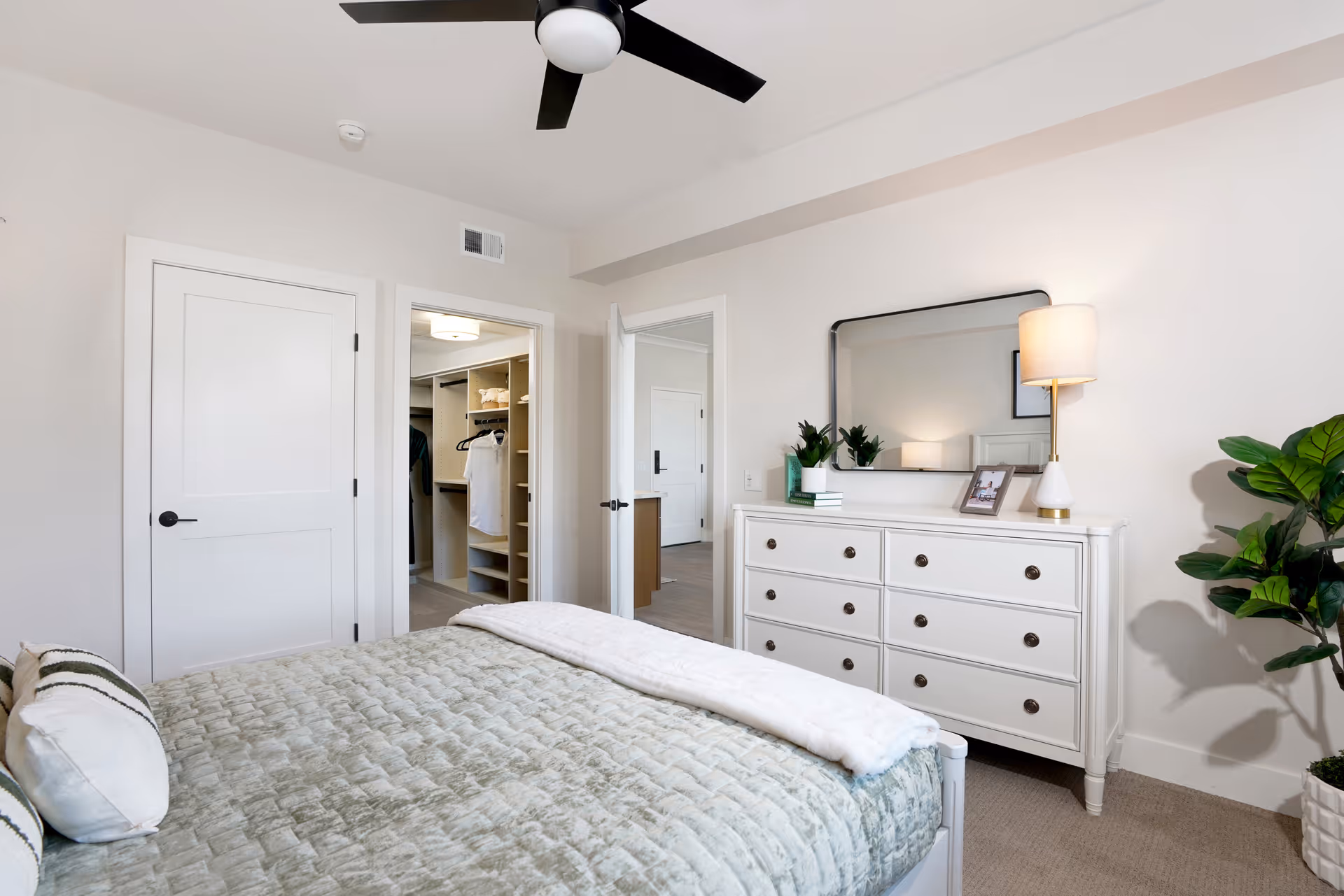Bright bedroom with a bed, white dresser topped with a mirror and lamp, ceiling fan, potted plant, and an open walk-in closet.