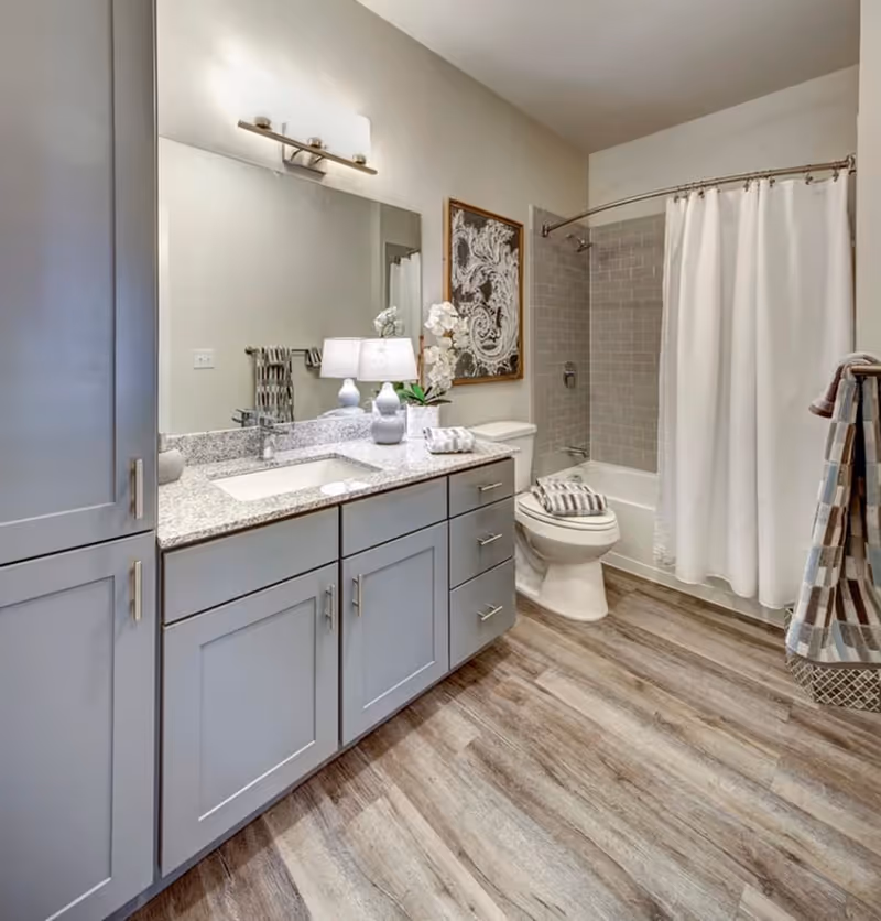A modern bathroom featuring a gray vanity with a granite countertop, a large mirror with a light fixture above it, a white toilet with a striped towel on the seat, a bathtub with a white shower curtain, and a towel rack holding striped towels. The floor has wood-like vinyl planks and there is a decorative framed artwork on the wall above the toilet.