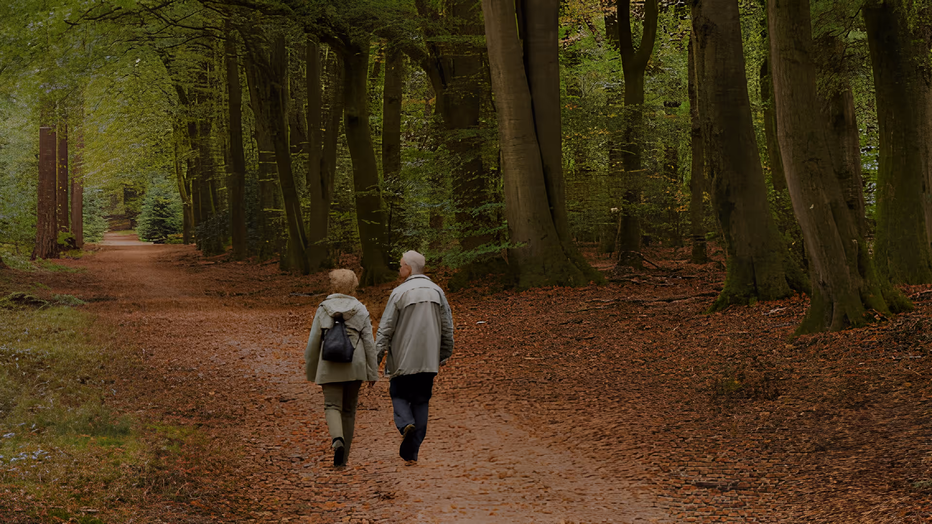 An elderly couple walking hand in hand down a forest path surrounded by tall trees with green leaves and a ground covered in brown leaves.