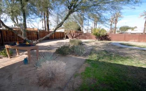 Outdoor courtyard with trees, shrubs, a wooden bench, and a fenced yard.