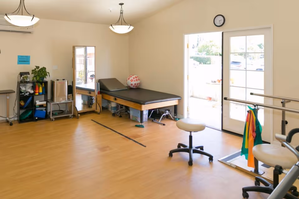 A bright therapy room with wooden flooring, a black padded treatment table, a large mirror, a shelf with therapy equipment and plants, two rolling stools, parallel bars for walking exercises, and a glass door leading outside. The room has beige walls and two ceiling lights.