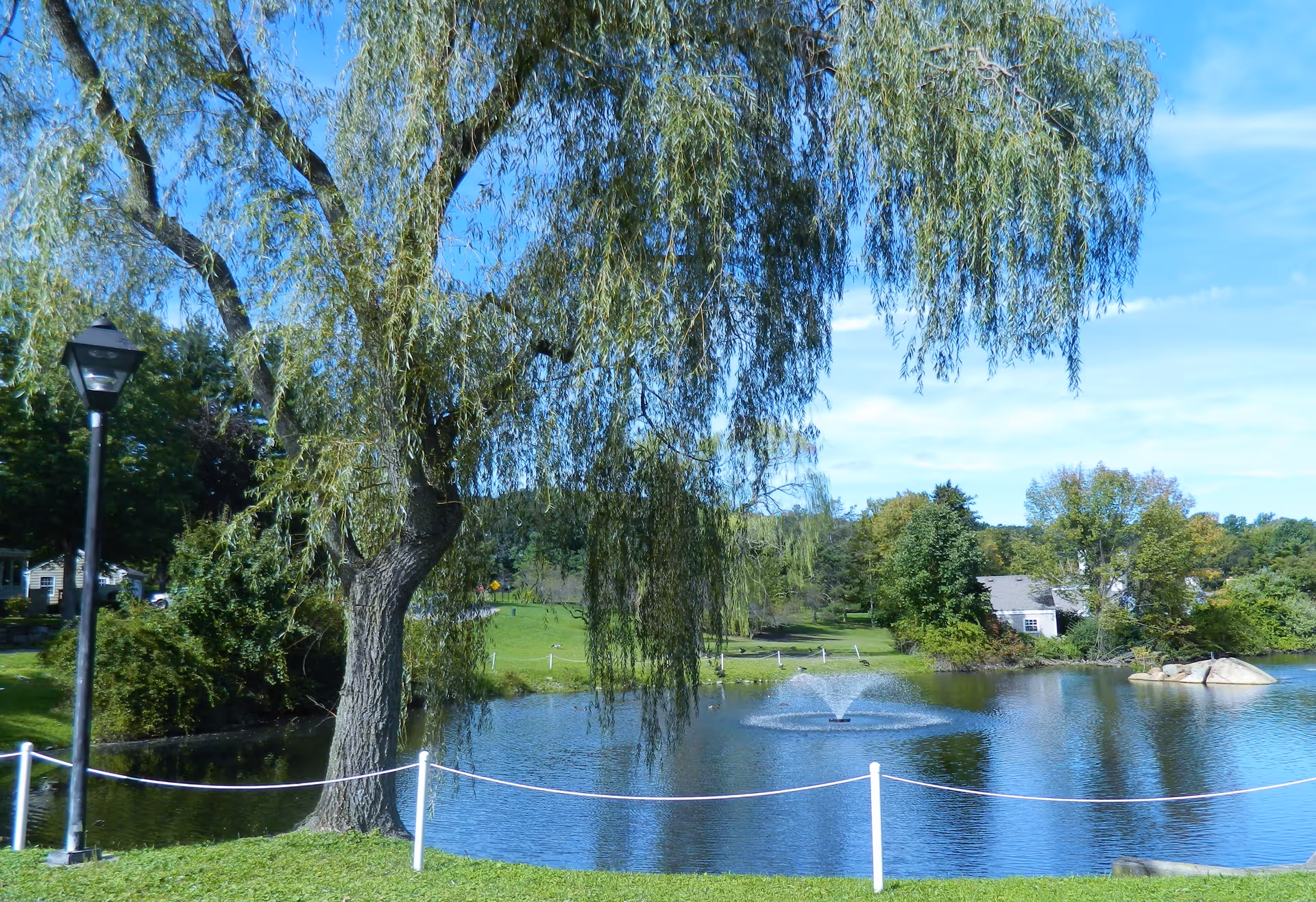 A peaceful outdoor scene featuring a large willow tree next to a pond with a water fountain in the center. There is a grassy area with a white rope fence and a black lamppost on the left side. Trees and houses are visible in the background under a clear blue sky.
