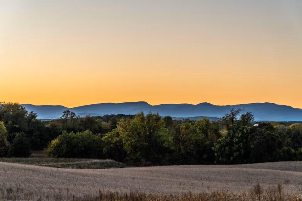 A scenic view of a field with tall grass in the foreground, dense green trees in the middle ground, and a range of blue mountains in the background under a clear sky at sunset with an orange hue.