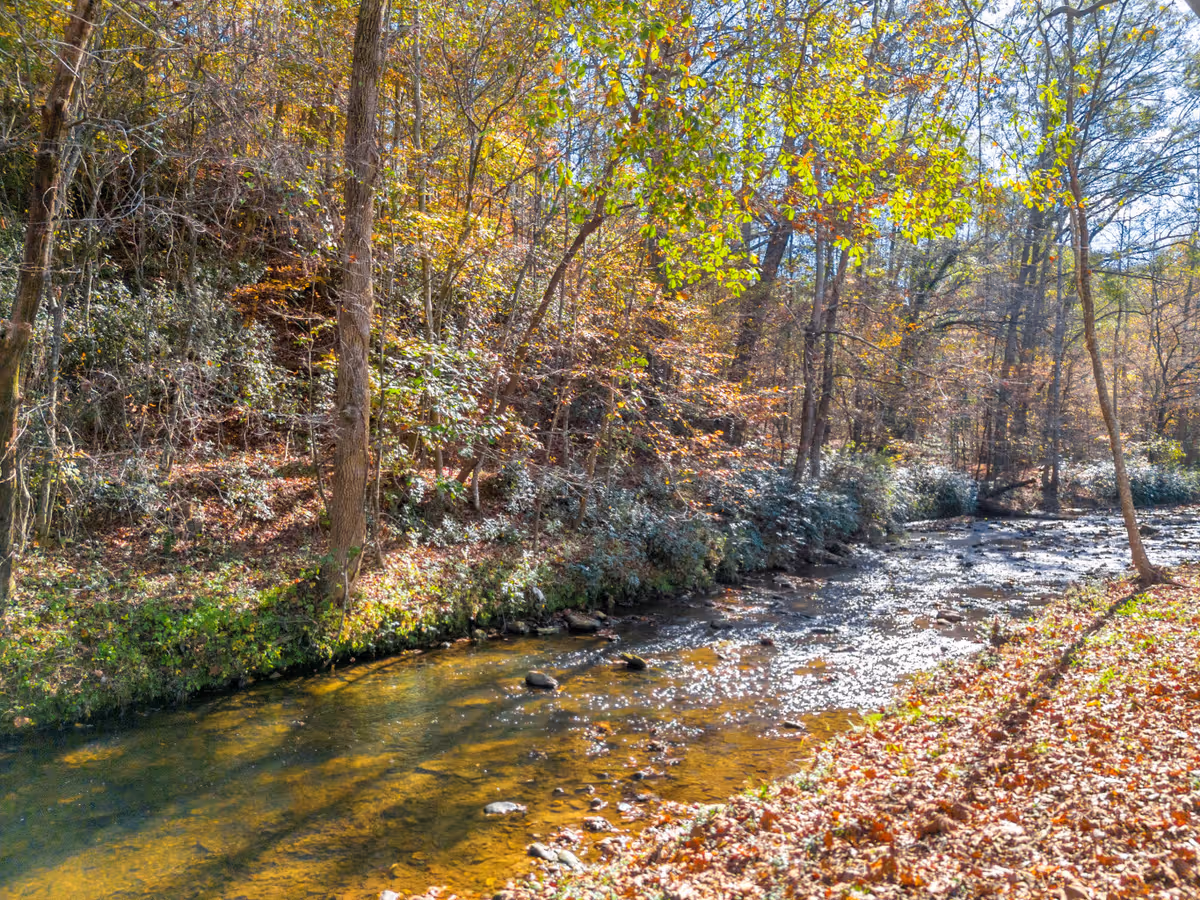 A serene outdoor scene featuring a gently flowing creek surrounded by trees with autumn foliage. Sunlight filters through the leaves, casting reflections on the water and illuminating the fallen leaves on the ground.