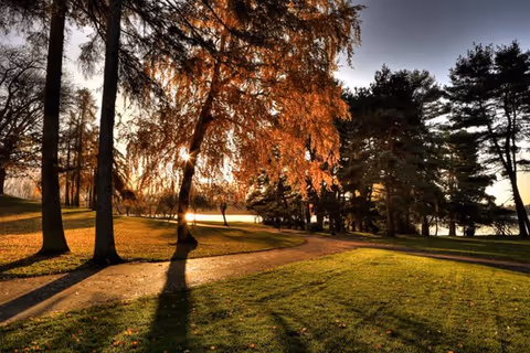 A scenic outdoor park area with a winding paved path, green grass, and tall trees with autumn-colored leaves. The sun is low in the sky, casting long shadows and creating a warm, golden light.
