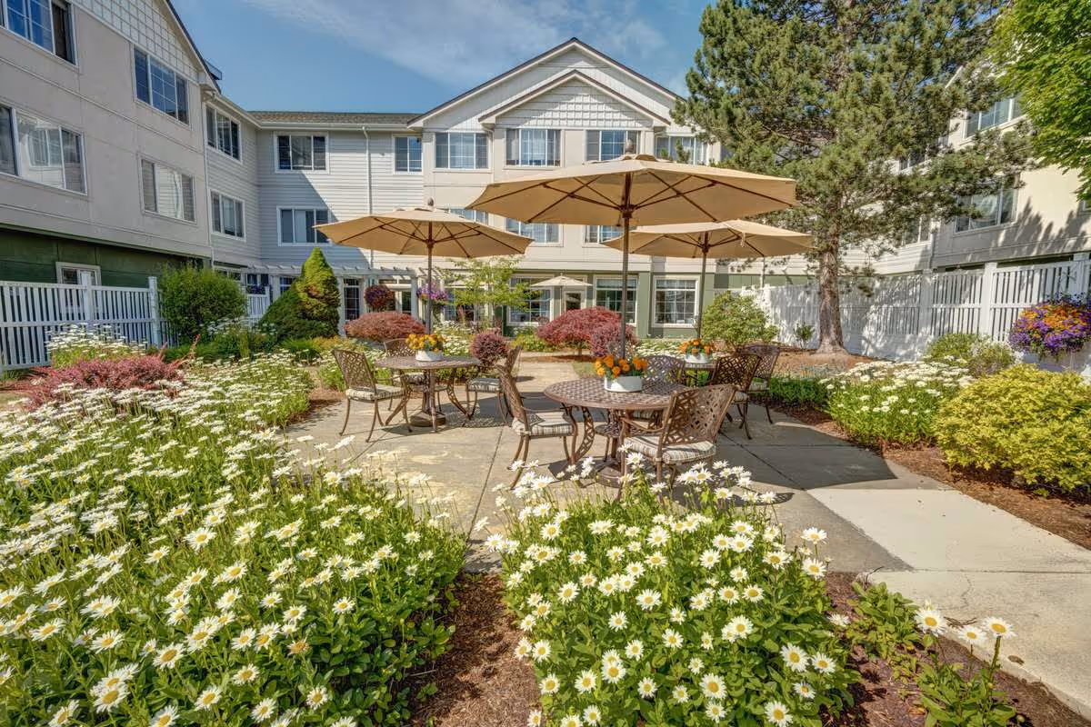Outdoor patio area at Cordata Court featuring round metal tables with chairs and large beige umbrellas surrounded by blooming white daisies and various shrubs, with a multi-story building in the background under a partly cloudy sky.