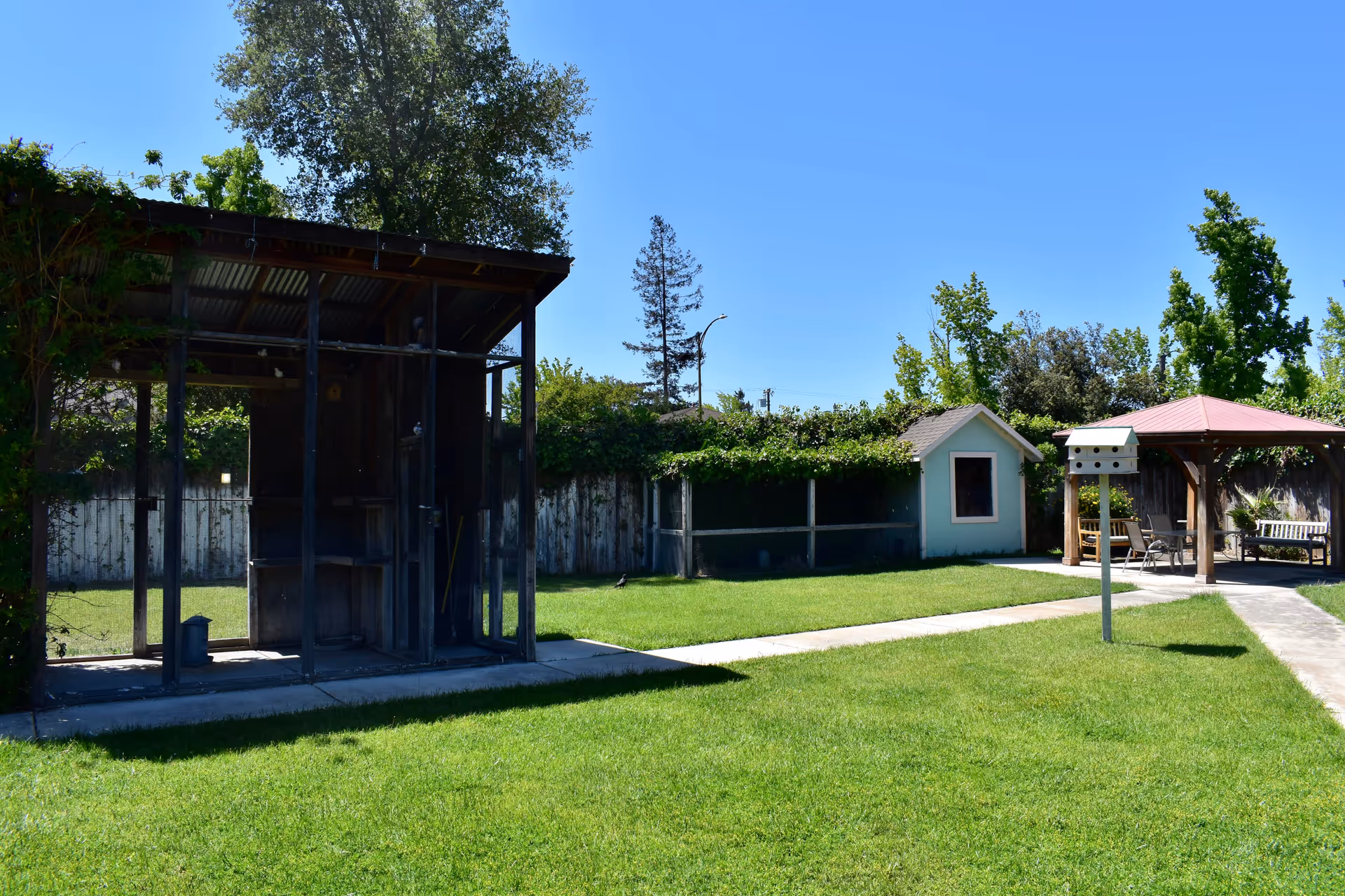 A sunny outdoor garden area with a green lawn, a small light blue shed, a wooden gazebo with seating, a birdhouse on a pole, and a screened enclosure on the left side. Trees and a wooden fence surround the area under a clear blue sky.