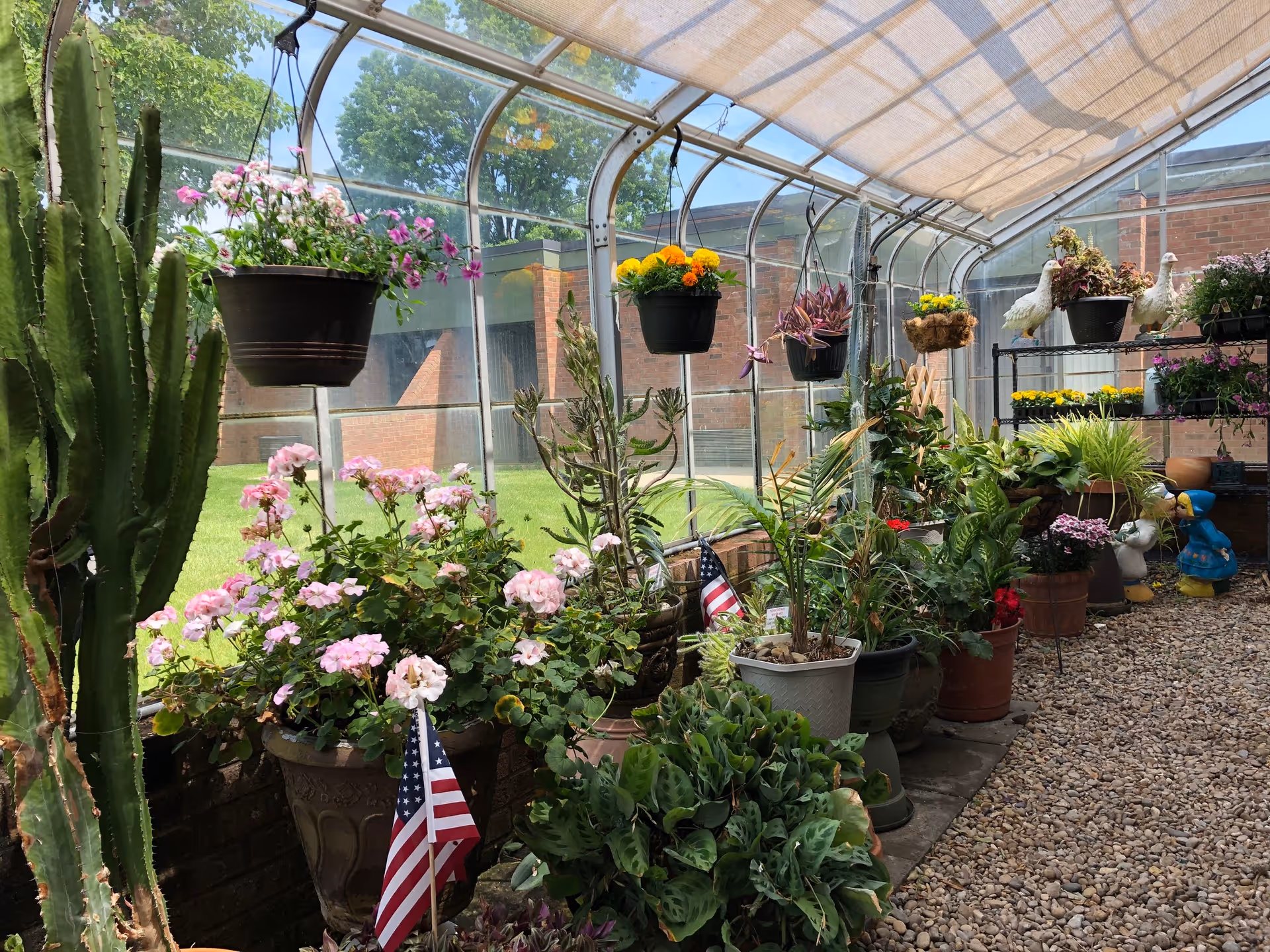A bright greenhouse filled with various potted plants and flowers, including hanging pots with colorful blooms. The greenhouse has a clear curved roof and walls, allowing sunlight to illuminate the plants. Outside the greenhouse, green grass and trees are visible. There are also small American flags placed among the plants and decorative garden statues on the right side.