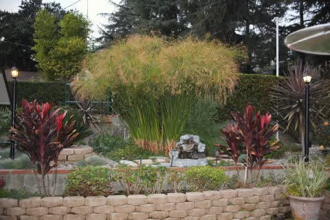 Outdoor garden area with a variety of plants including tall ornamental grasses, red-leafed shrubs, and other greenery. There is a small stone water feature in the center surrounded by a low stone wall. Trees and a hedge form the background under a partly cloudy sky.