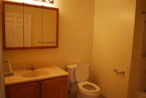 Bathroom with sink, vanity, mirror cabinet, toilet, towel rack, and warm beige walls.
