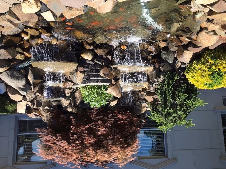 Outdoor garden area with a small cascading water feature surrounded by rocks and various plants including a red-leafed bush, green shrubs, and a yellow-green bush. A building with windows is visible in the background.