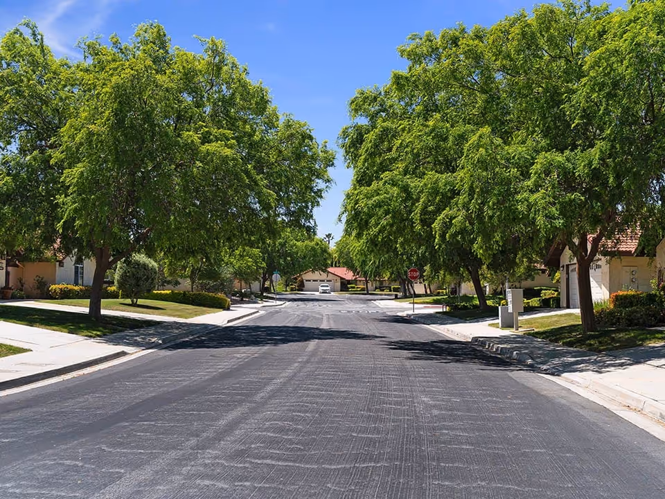 A quiet residential street lined with green leafy trees on both sides, with sidewalks and houses partially visible behind the trees under a clear blue sky.