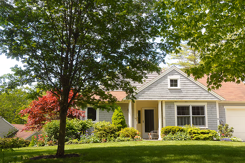A single-story house with gray siding and a red roof, surrounded by lush green trees and bushes. The front yard has a well-maintained lawn and various plants, with a tree prominently in the foreground partially shading the house.