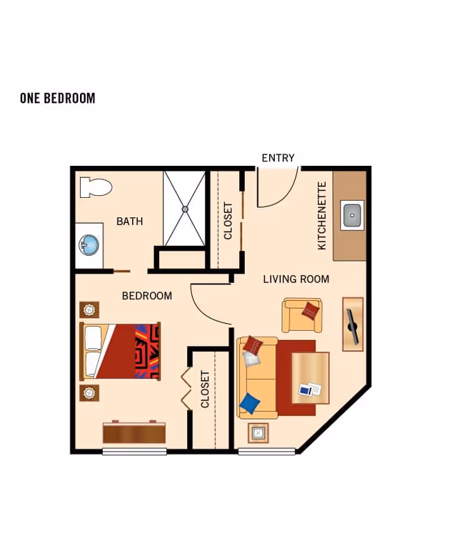 Illustrated one-bedroom apartment floor plan showing a bedroom, bathroom, living room with kitchenette, closets, and entry.