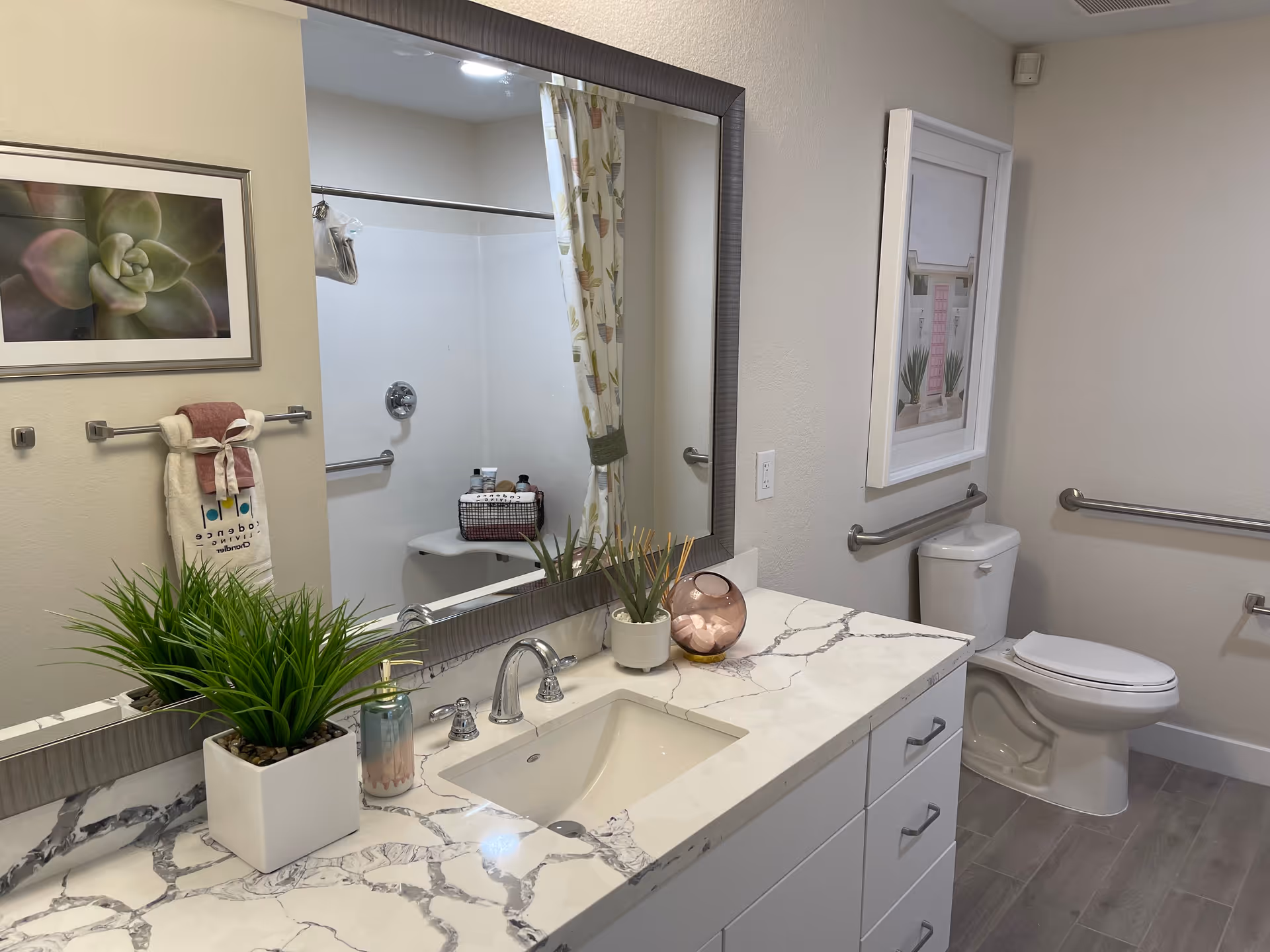 A clean and modern bathroom featuring a white marble countertop with a built-in sink, a large rectangular mirror above the sink, a potted green plant, soap dispenser, and decorative items on the counter. The bathroom has a toilet with grab bars on the wall, a shower with a curtain, and framed artwork on the walls.