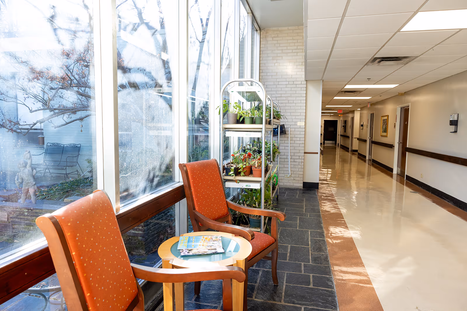 A bright hallway in a senior living facility with large windows on one side showing an outdoor garden area. Two orange cushioned chairs with wooden arms are placed next to a small round table holding magazines. A metal rack with several potted plants is positioned near the windows. The hallway has a shiny floor, beige walls, and several doors along the corridor.