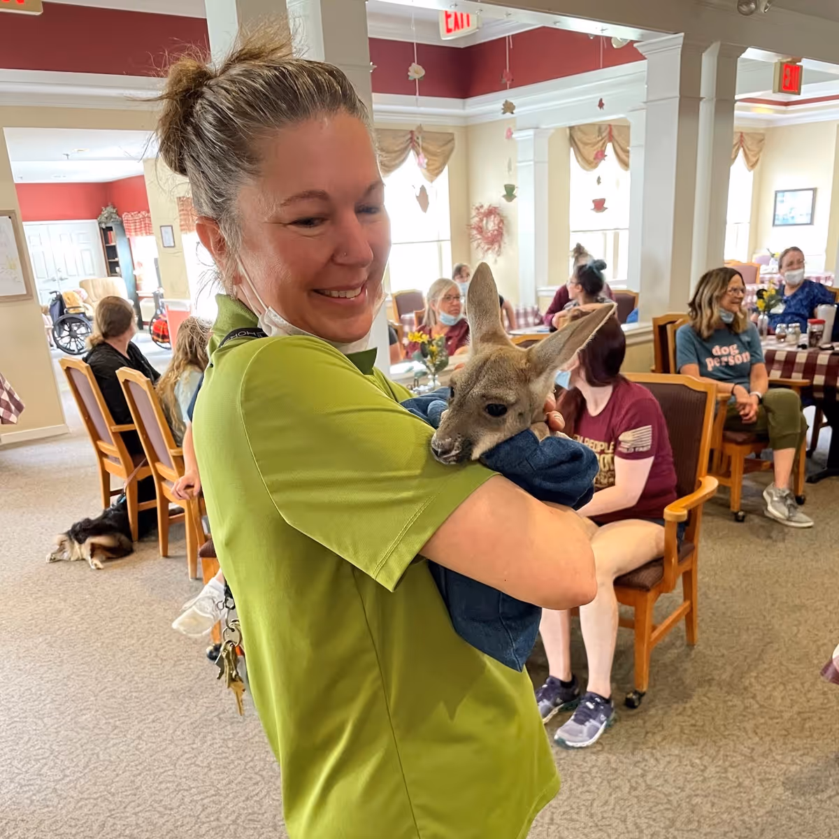 A smiling woman in a green shirt holding a small kangaroo wrapped in a blue cloth inside a room with several seated people in the background, some wearing masks. The room has beige walls, large windows with curtains, and tables with checkered tablecloths.