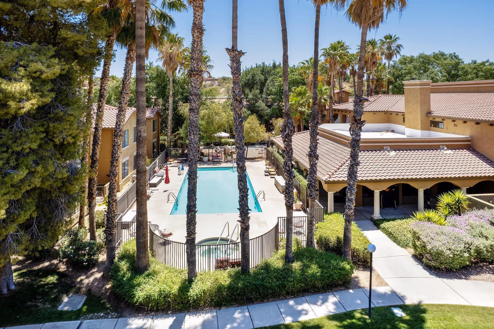 Outdoor view of a senior living facility featuring a fenced swimming pool and hot tub surrounded by tall palm trees and lush greenery. The pool area is adjacent to a building with a tiled roof and covered patio. Sidewalks and landscaped bushes are visible around the pool area under a clear blue sky.