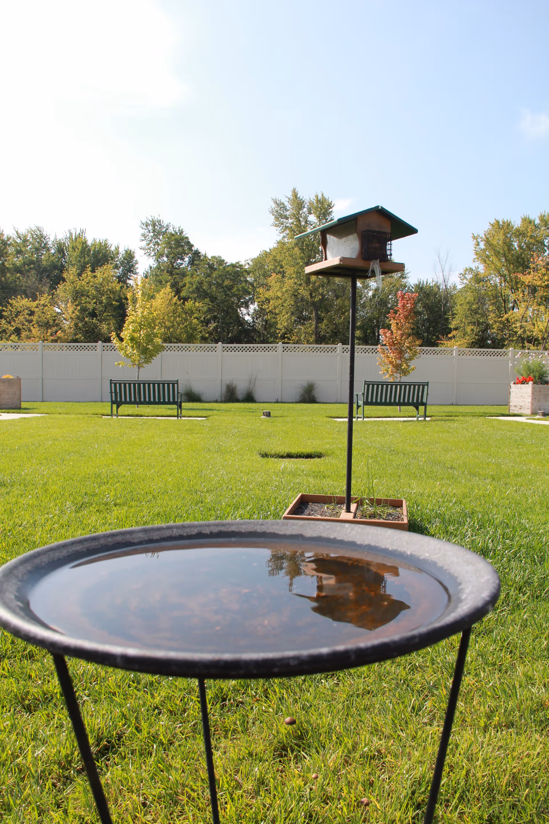 A peaceful outdoor garden area with green grass, two green benches, a bird feeder on a tall pole, and a shallow birdbath filled with water reflecting the bird feeder. Trees and a white fence are in the background under a clear sky.