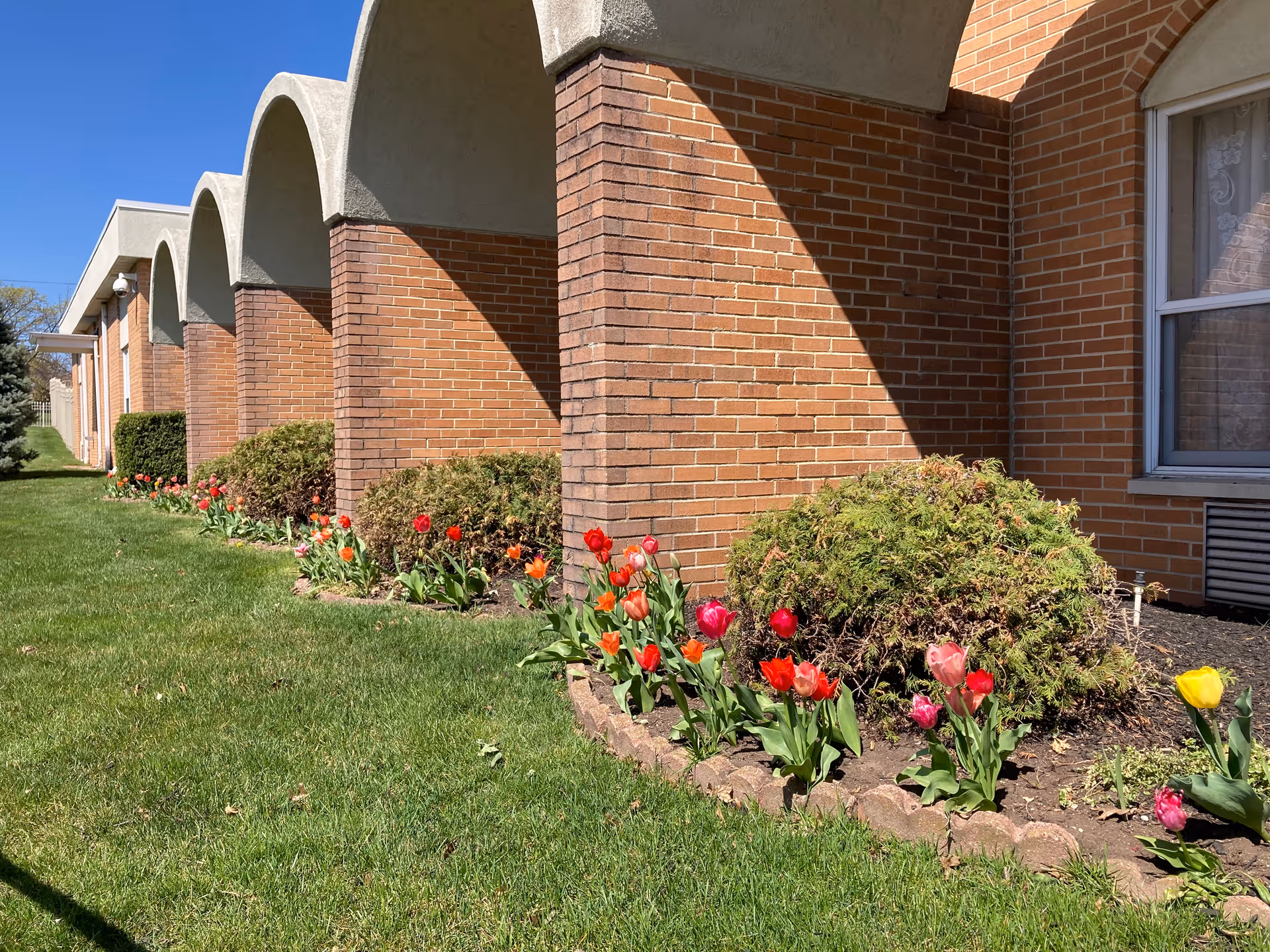 Exterior view of a brick building with a series of arches casting shadows on the wall. There is a well-maintained garden bed with colorful tulips and green shrubs along the base of the building, and a green lawn in the foreground under a clear blue sky.