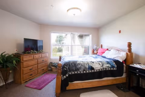 A bright bedroom with a wooden bed frame, a bed with white and black bedding, a wooden dresser with a flat-screen TV on top, a potted plant, and a large window letting in natural light.