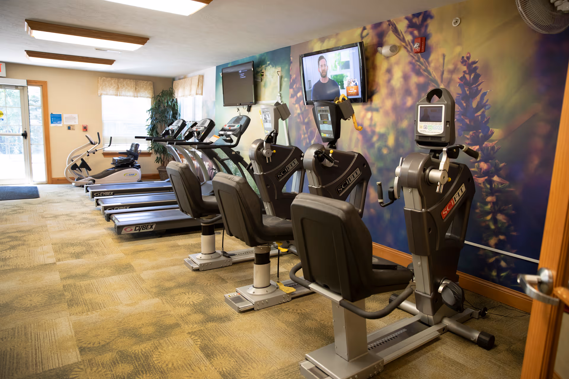 Exercise room with recumbent bikes and treadmills lined up facing TVs and a floral mural on the wall.