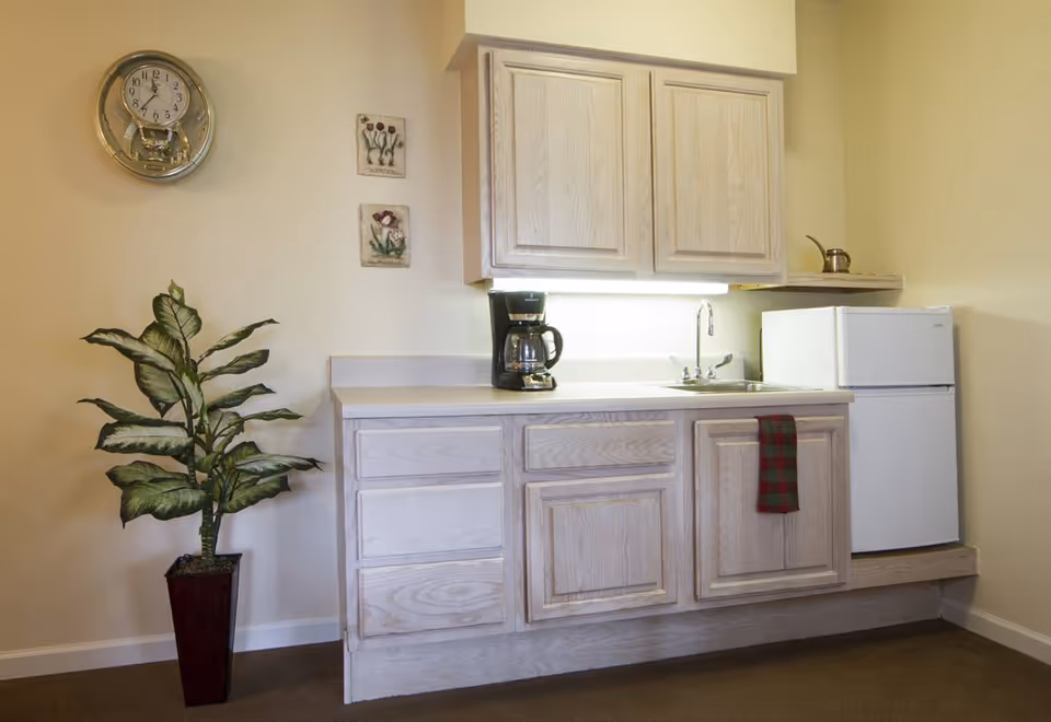 Small kitchenette with light wood cabinets, a sink, coffee maker, mini refrigerator, and a potted plant.