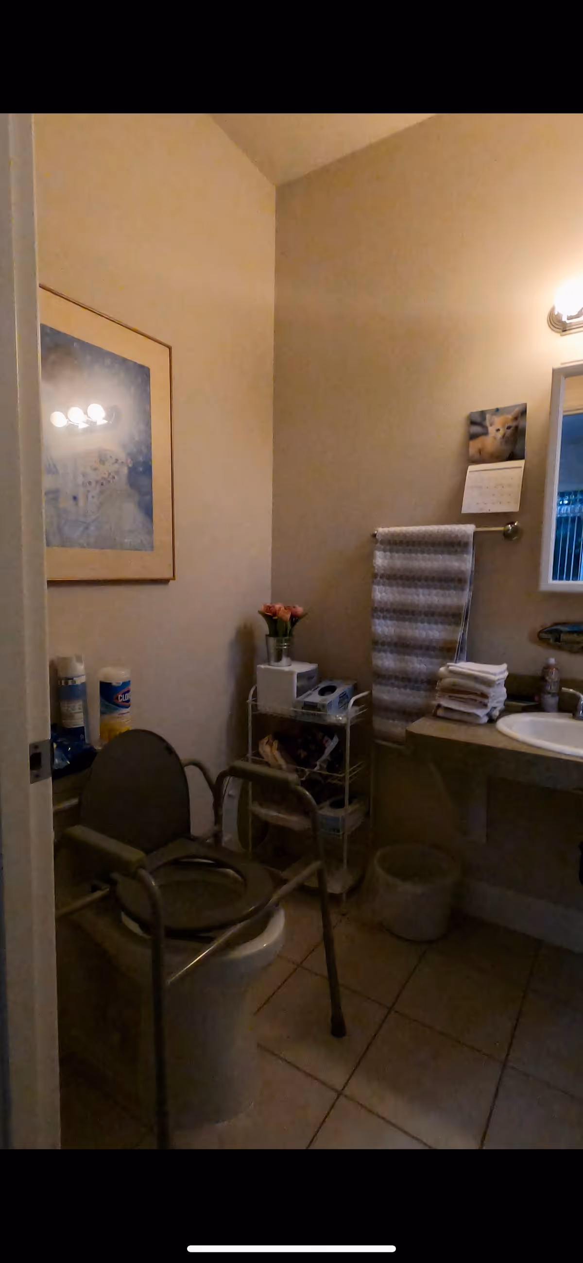 A bathroom with a toilet equipped with safety rails, a small shelving unit holding various items including a vase with flowers, a towel hanging on a rack, a sink with folded towels on the counter, a small trash bin on the floor, and a framed picture on the wall.