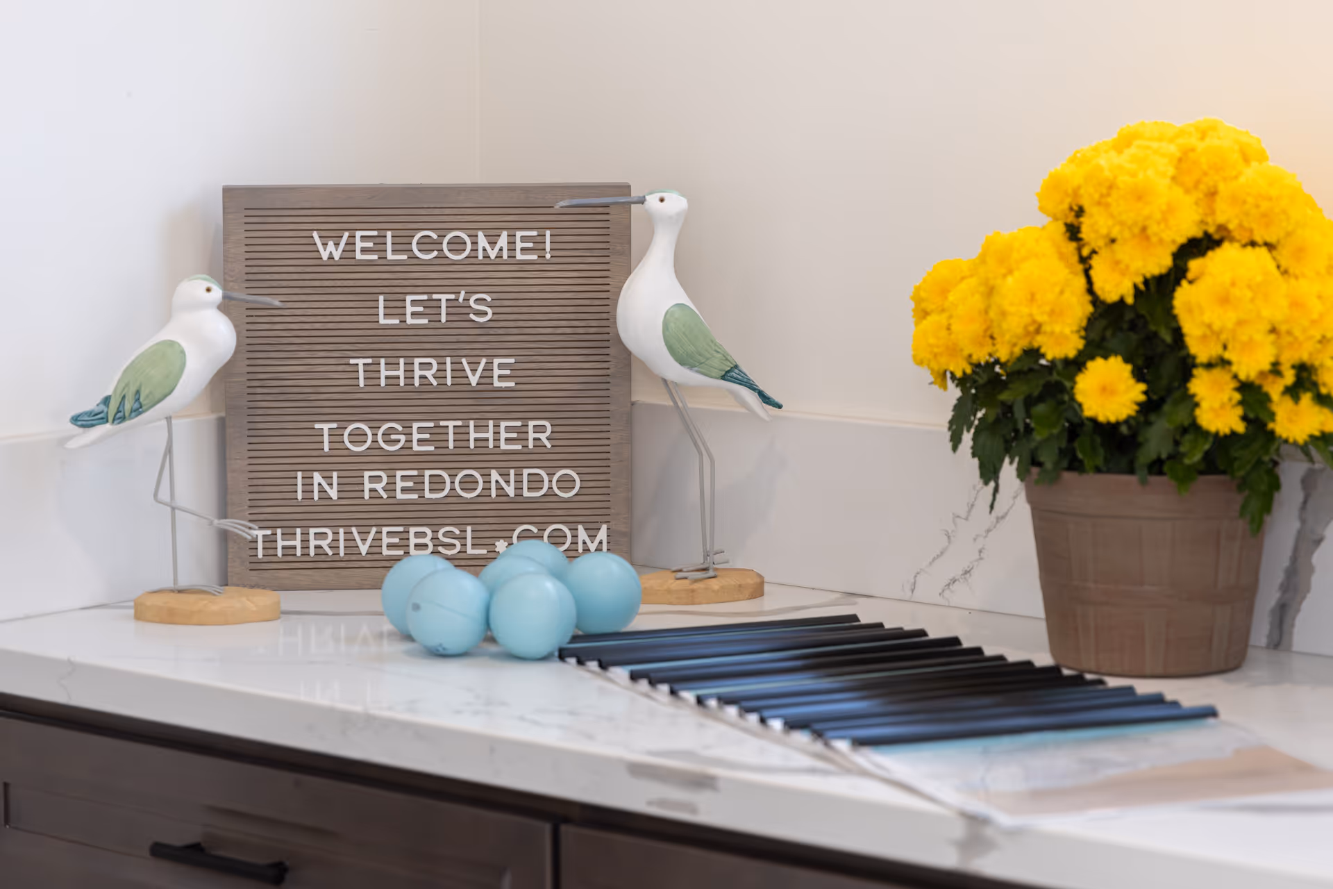 A kitchen countertop vignette with a welcome letter board, two decorative bird figurines, blue decorative balls, and a potted yellow flower.