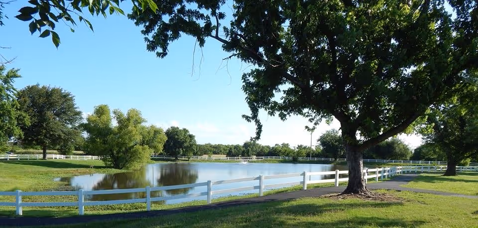 A peaceful outdoor scene featuring a small pond surrounded by green grass and large trees. A white wooden fence runs along the edge of the pond and a paved walking path curves around the area under a clear blue sky.