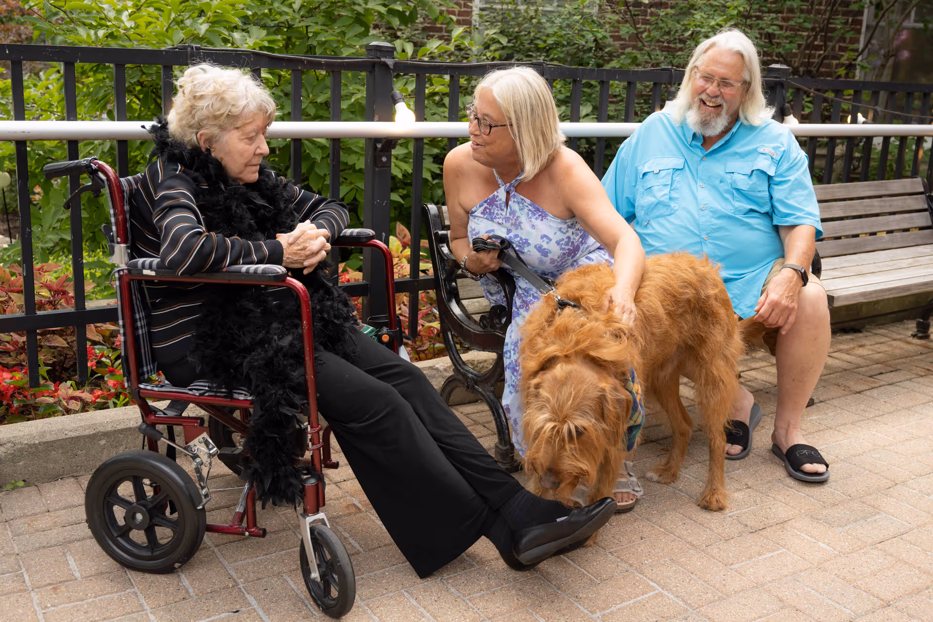 An elderly woman in a wheelchair wearing a black feather boa is sitting outdoors on a paved area next to a black metal fence with greenery behind it. A middle-aged woman in a light purple floral dress is crouching beside a large brown dog, petting it. A man with long white hair and beard, wearing a light blue shirt and black sandals, is sitting on a wooden bench nearby, smiling.
