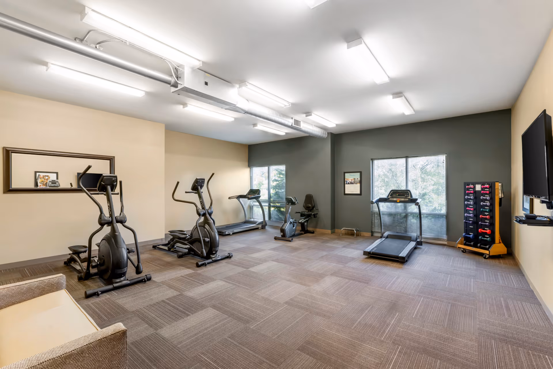 A fitness room with exercise equipment including two elliptical machines, two treadmills, a stationary bike, and a rack of colorful dumbbells. The room has large windows letting in natural light, beige and dark green walls, a wall-mounted TV, and overhead fluorescent lighting.