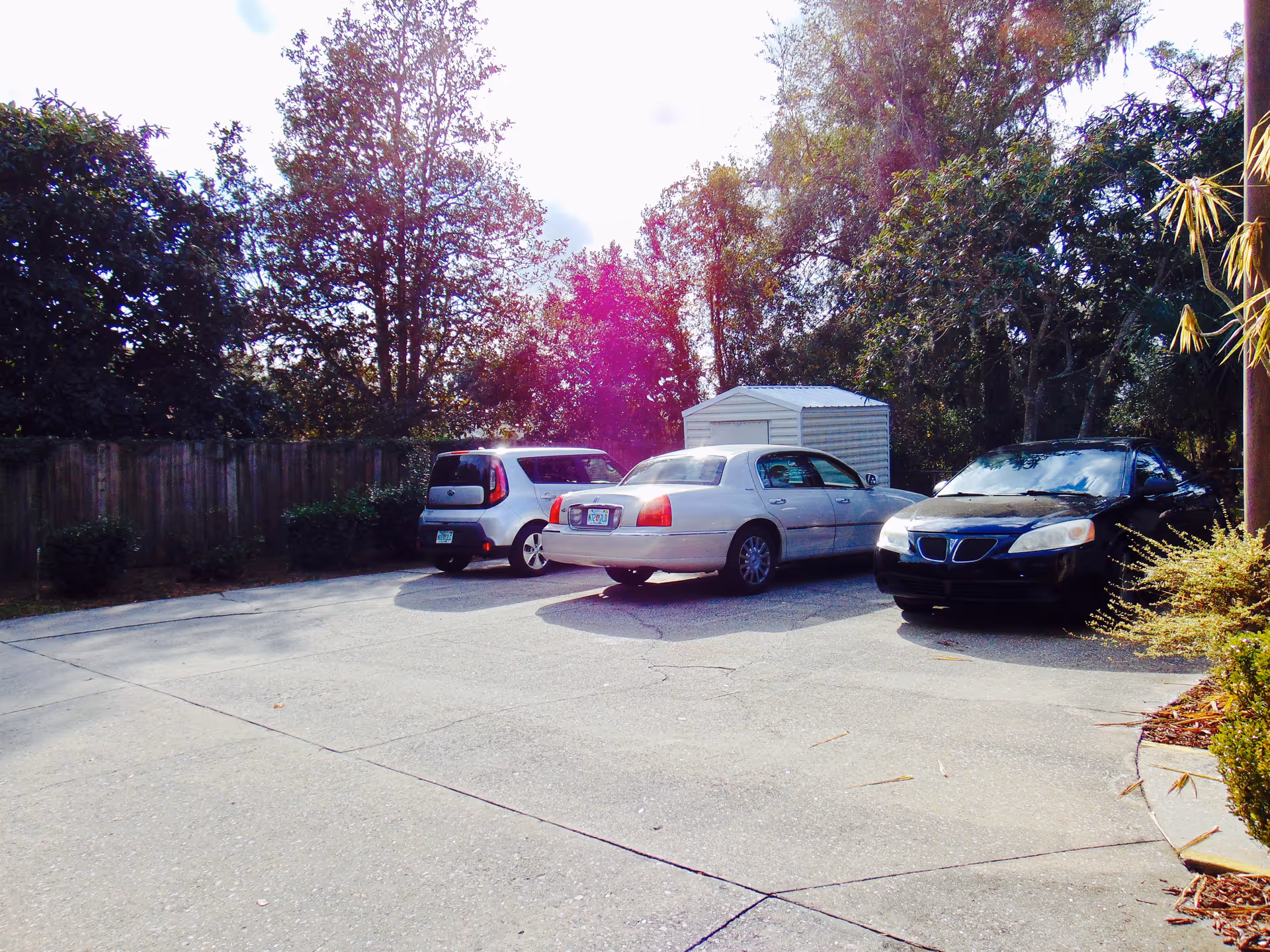 A parking area with three parked cars in front of a wooden fence and surrounded by trees and bushes. There is a small white shed behind the cars.