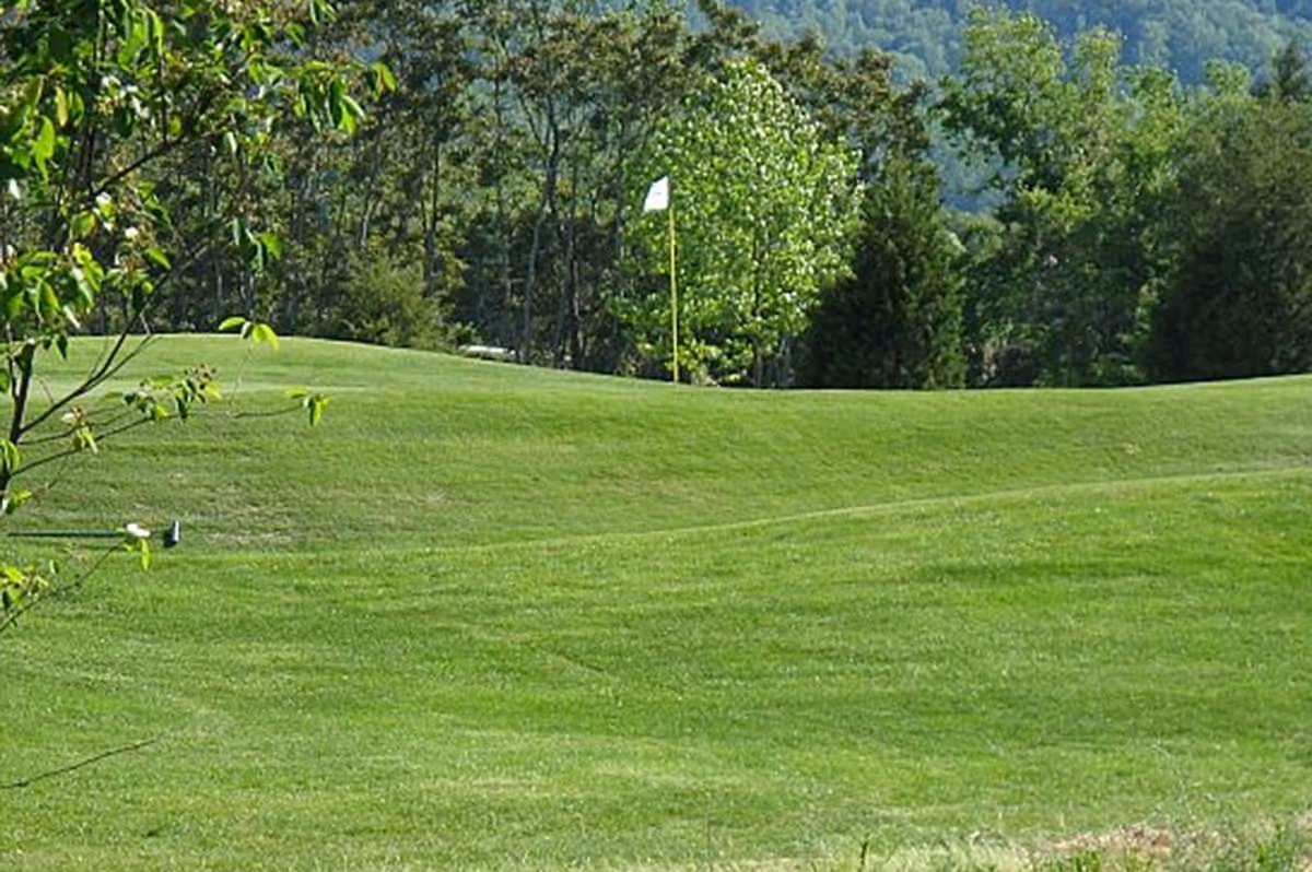 A well-maintained green golf course with a white flag on a pole marking the hole, surrounded by trees and bushes under a clear sky.
