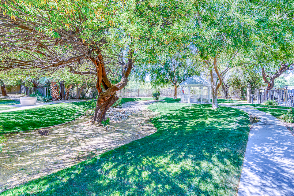 A sunny outdoor garden area with green grass, several trees providing shade, a white gazebo, and a paved walkway curving through the space. There is a fence in the background and some desert landscaping elements.