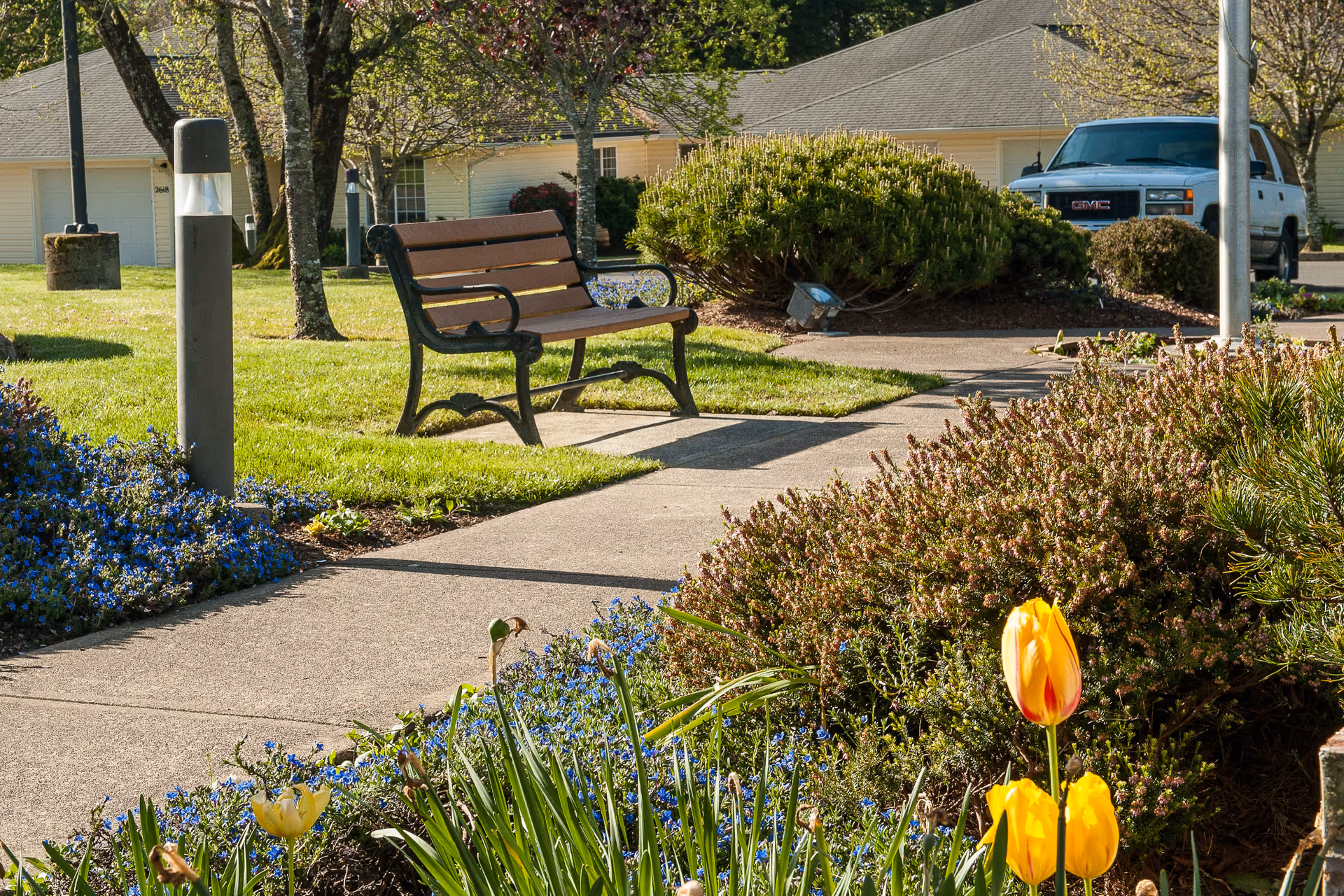 A peaceful outdoor garden area at Lakeview Senior Living featuring a wooden bench along a paved walkway surrounded by green grass, blooming flowers including yellow tulips, bushes, and trees. In the background, there are residential buildings and a parked white GMC vehicle.