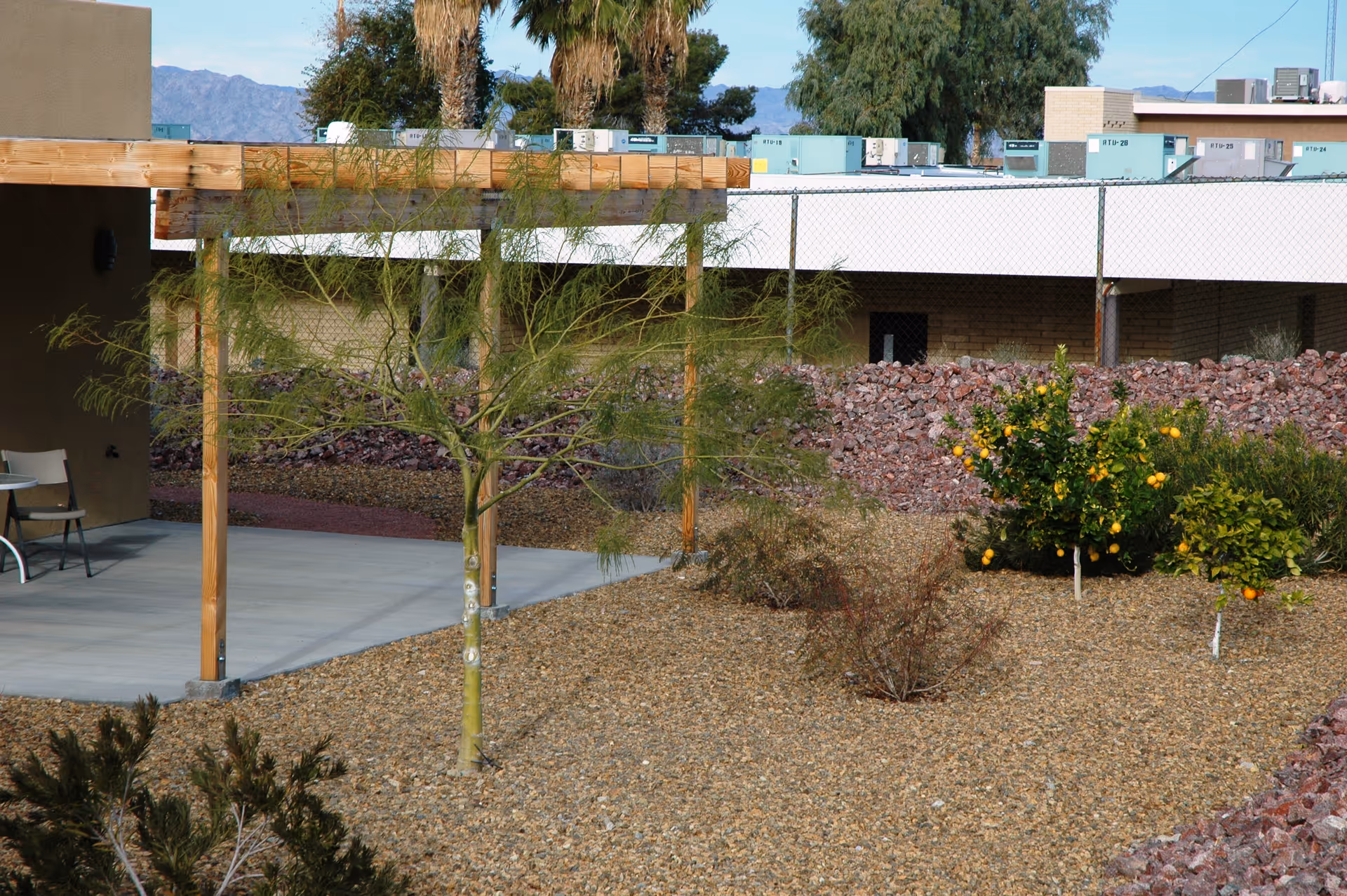 Gravel courtyard with small trees, an orange tree and a pergola-covered patio with chairs, with a building and rooftop units in the background.