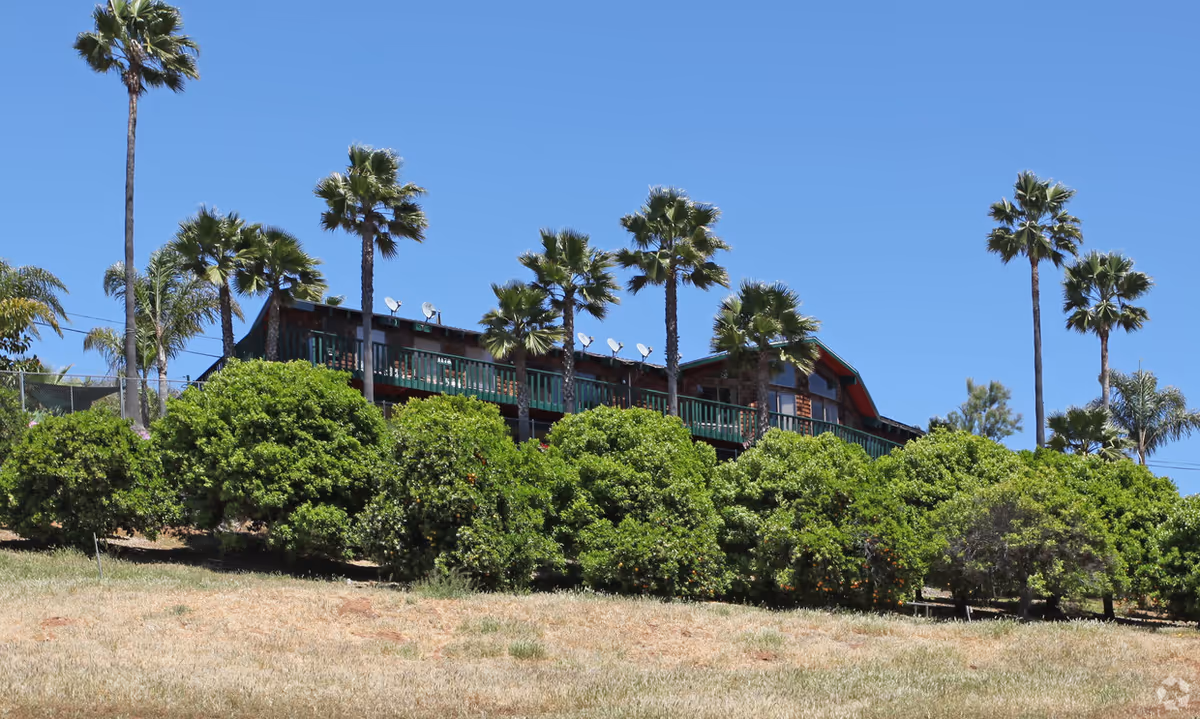 A large building with a green railing and multiple satellite dishes on the roof, surrounded by tall palm trees and dense green bushes under a clear blue sky.
