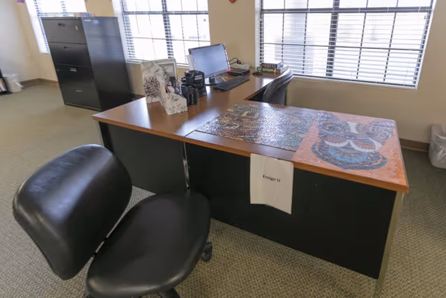 Office area with a desk featuring a colorful owl design on the surface, a computer monitor, keyboard, camera lenses, and office supplies. There is a black office chair in front of the desk and a filing cabinet near the window with blinds.
