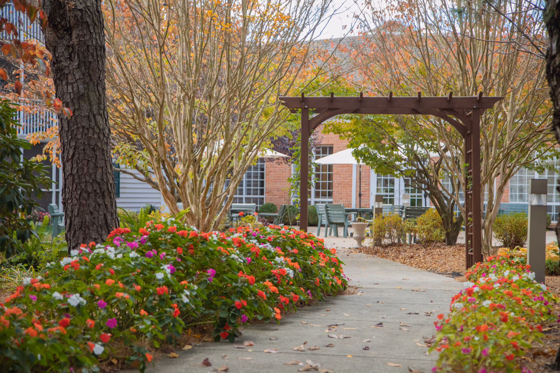 A garden pathway lined with colorful flowers and trees with autumn leaves, leading to a wooden pergola and outdoor seating area with tables and umbrellas in front of a brick building.