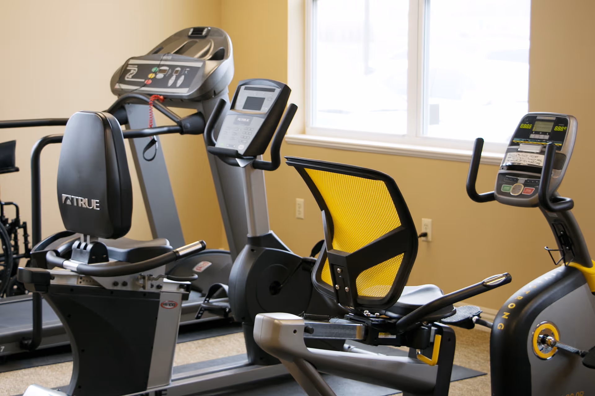 A bright fitness room showing recumbent and upright exercise bikes and a treadmill by a window.