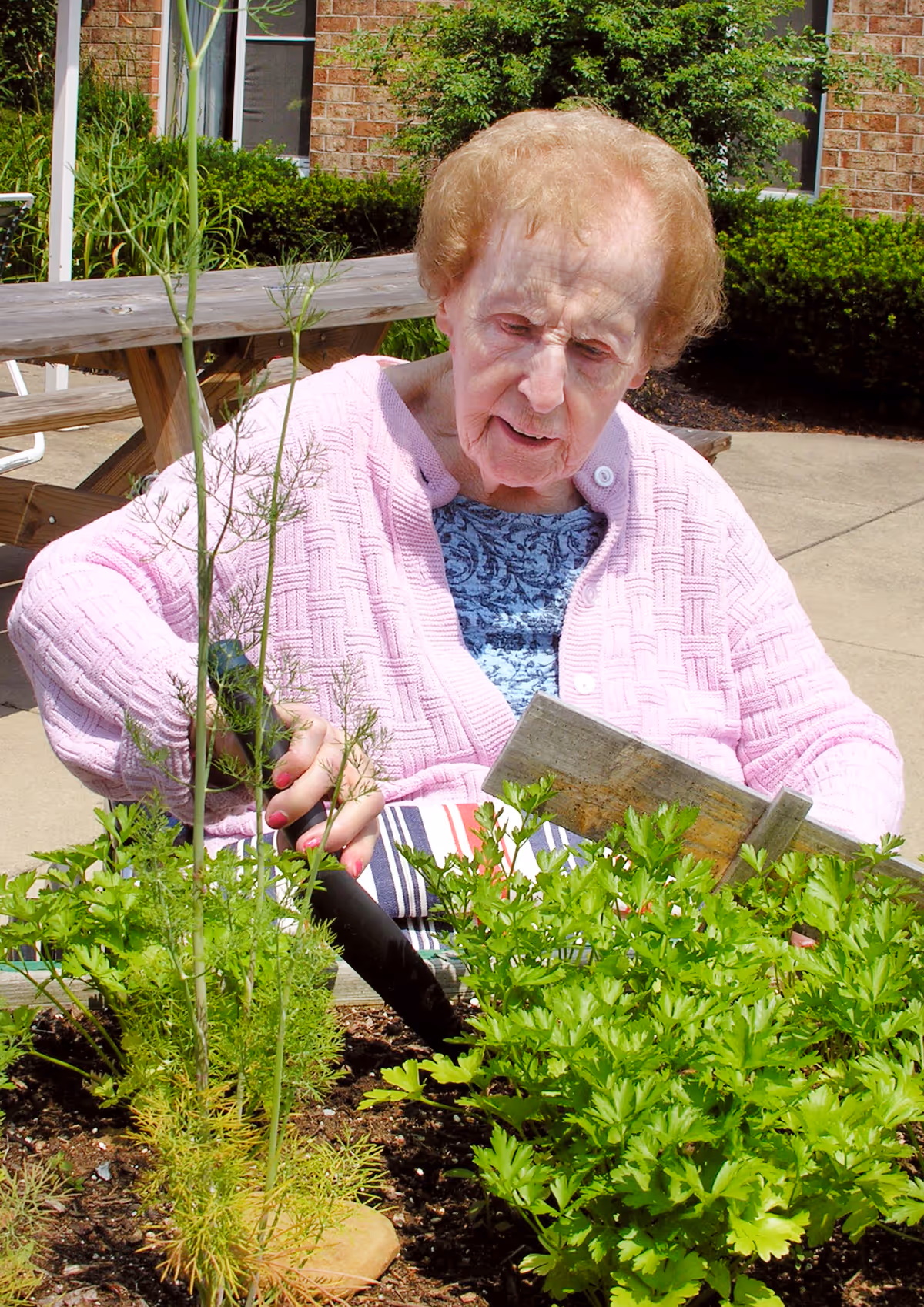 An elderly woman wearing a pink sweater and blue patterned shirt is gardening outdoors. She is using a small gardening tool to tend to green plants in a garden bed, with a wooden picnic table and brick building in the background.