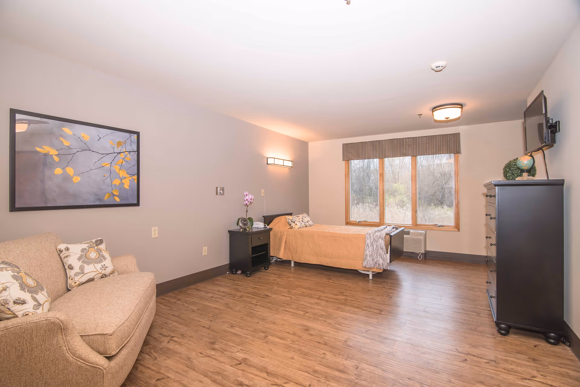 A spacious senior living bedroom with a single bed covered in a beige quilt, a black nightstand with a small plant and a clock, a beige couch with patterned pillows, a large window with a view of trees, a black dresser with a globe and a TV mounted above it, and wooden flooring.