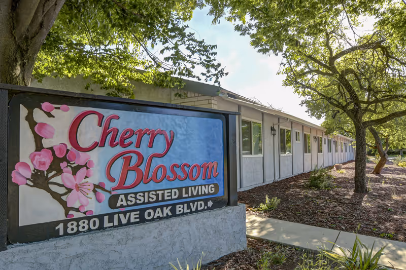 Outdoor view of Cherry Blossom Assisted Living facility sign with pink cherry blossom flowers on the left side. The building extends in the background with windows and a pathway lined with trees and landscaping.